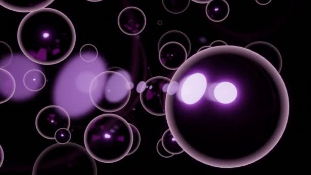 Soap Bubbles Floating Black Background Design Same Size Spherical Silhouettes — Stock Video