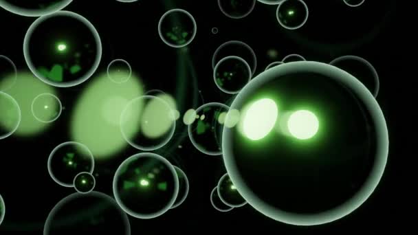 Soap Bubbles Floating Black Background Design Same Size Spherical Silhouettes — Stock Video