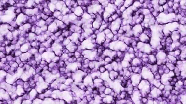 Fondo Amarillo Púrpura Motion Large Moléculas Líquidas Colores Brillantes Animación — Vídeo de stock