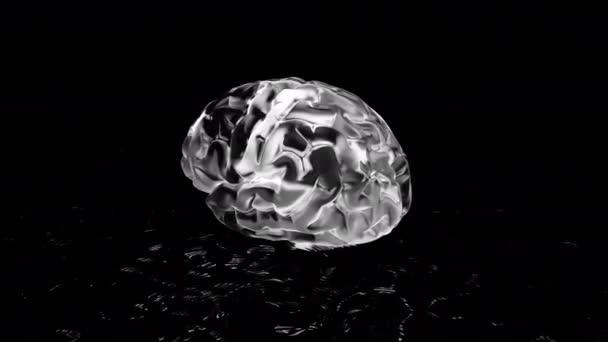 Чёрный Фон Движение Серебристый Светящийся Силуэт Мозга Сделанный Анимации Которая — стоковое видео