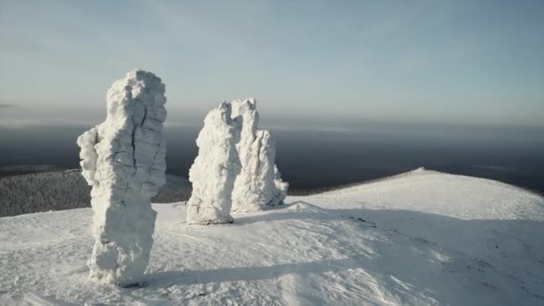 科米共和国曼普鲁纳高原巨人的空中冬季美景 被雪覆盖的地质遗迹 — 图库视频影像