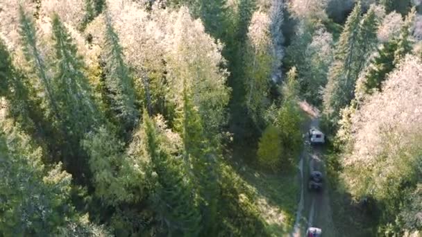 Vista Superior Coches Conduciendo Bosque Clip Suvs Conducen Largo Carretera — Vídeos de Stock