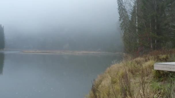 Vista Dall Alto Del Lago Nebbioso Con Foresta Verde Clip — Video Stock