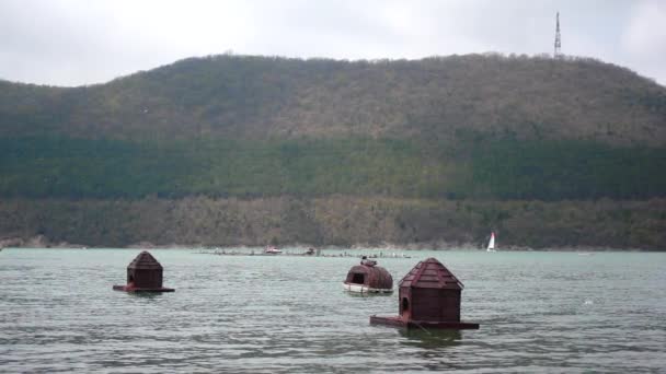 アヒルのための水の上の家 アクション 小さな木製の家は 浮遊アヒルが付いている湖の水にあります 丘の背景にアヒルのための水の上の木製の家 — ストック動画