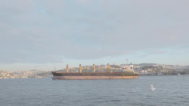 Groot Schip Vaart Voor Kust Van Zee Stad Actie Steamer — Stockvideo