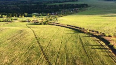 Güneşli bir günde güzel yeşil tarlaların ve ormanların manzarası. Şarjör. Ormanda yolları ve köyü olan yeşil tarlalar. Köy yolu manzarası ve yazları yeşil tarlaları ve ormanları olan evler. 