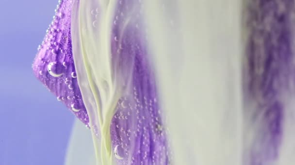 Flower Smoke Motion Stock Footage Underwater Illusion Paint Spreading Petals — Stock Video