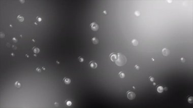 Gri arkaplanda soyut düşen yağmur damlaları. Hareket. Yuvarlak su damlalarıyla tek renkli arkaplan