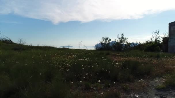 岩と海の背景に草が付いている海岸の美しい景色 ショット ドローンは海岸と地平線を眺めながら草の上を移動する 海面と反射の海岸の美しい景観 — ストック動画