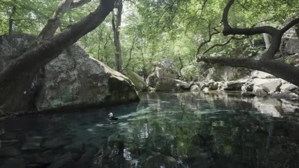 夏天的风景行动 美丽的热带雨林紧邻一个小湖面 在湖面上你可以看到浅浅的石头底部 高质量的4K镜头 — 图库视频影像