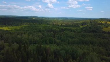 Slovenya 'nın güneyindeki uçsuz bucaksız bir tepe ve orman manzarasının sinematik görüntüsü. Şarjör. Yazın sık ormanların üzerinde uçuyor.