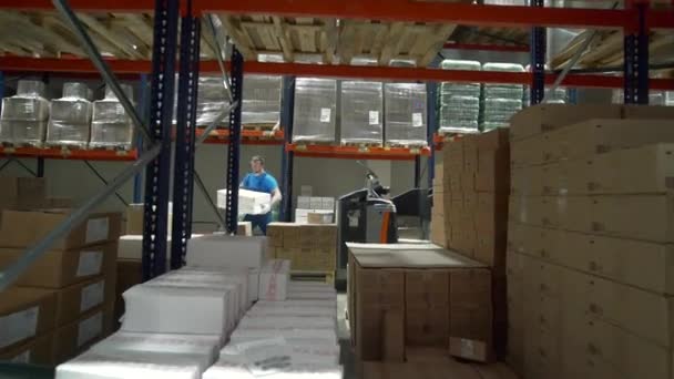 Poland Warsaw September 2022 Worker Distributes Goods Warehouse Creative Man — Stock Video