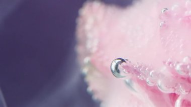 Suda pembe taç yaprakları. Kabarcıkları saran ve en tepeye yükselen sudaki çiçekler. Yüksek kaliteli FullHD görüntüler