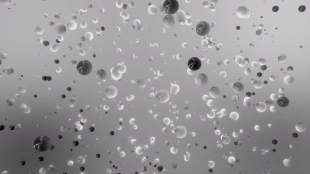 Monochrome Deeltjes Vliegen Langzaam Een Grijze Achtergrond Beweging Kleine Bolletjes — Stockvideo