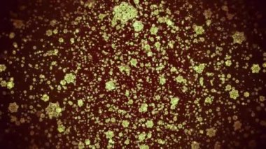Uzayda hareket eden bakterilerin animasyonu. Hareket. Yüklü parçacıklarla dolu bir uzay. Bakteri parçacıkları uzayda uçuyor.. 