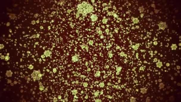 Animación Bacterias Movimiento Espacio Moción Espacio Lleno Partículas Voladoras Cargadas — Vídeos de Stock