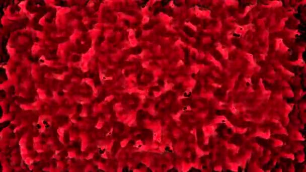 Antibiyotiğe Dirençli Bakteri Hastalığı Enfeksiyonu Iltihap Tasarım Küçük Parçacıkların Renkli — Stok video
