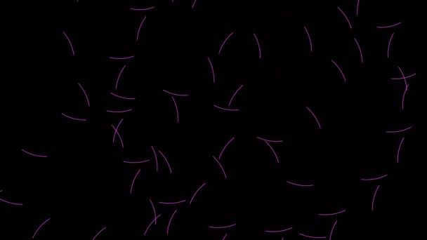抽象狭窄的霓虹灯线在一个孤立于黑色背景的圆圈中快速运动 在同一轨道上飞行许多次的闪光条纹 — 图库视频影像