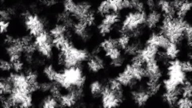 Siyah arka planda küçük tek renkli mikroorganizmalar. Hareket. Biyoloji ve bilim kavramı 