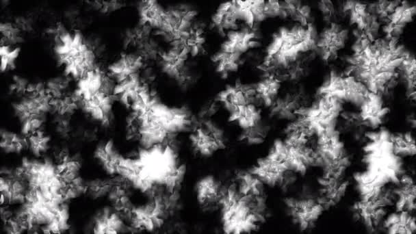 黒い背景にある小さなモノクロ微生物 ムーブメント 生物学と科学の概念 — ストック動画