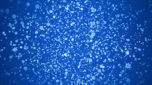 Partículas Neón Movimiento Transparentes Sobre Fondo Azul Moción Esferas Flotantes — Vídeos de Stock