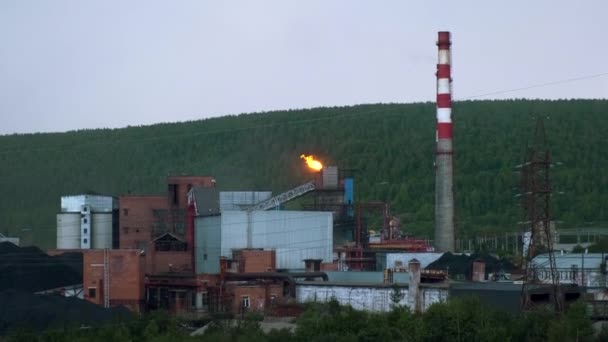 Górny Widok Zakładu Przemysłowego Ogniem Rurą Tle Zielonego Lasu Klip — Wideo stockowe