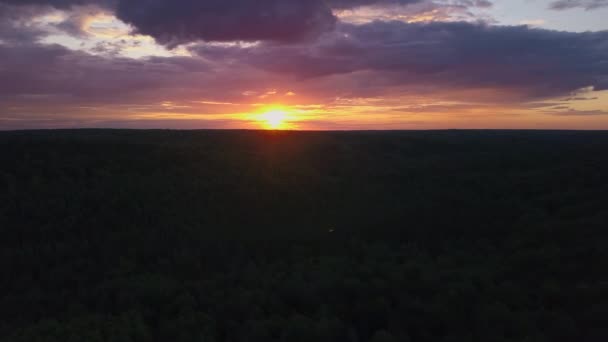 Вид Воздуха Красивый Летний Закат Восход Солнца Клип Беспилотник Летит — стоковое видео