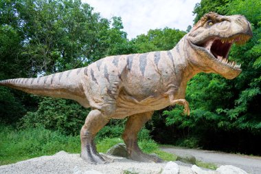 dinozor