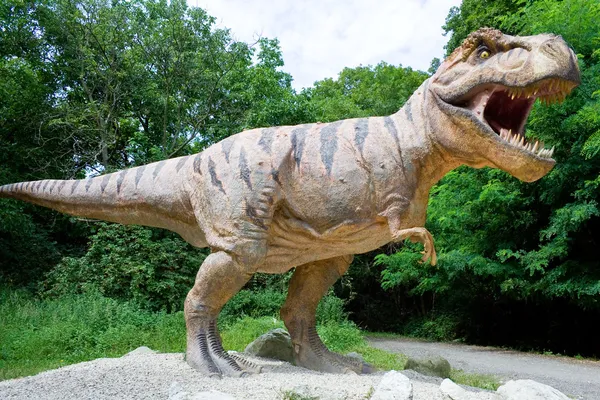 dinozor