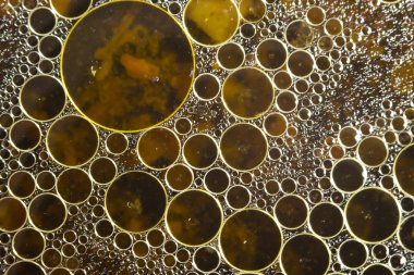 Bitkisel yağ sızıntısı