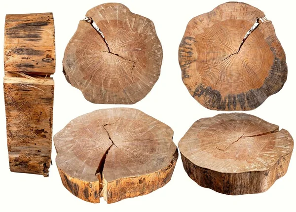 Kiefernstamm Durchschneiden Ein Stück Holz Ein Material Das Für Den Stockbild