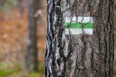 Ağaç gövdesindeki izleri işaretliyor. Yürüyüş yolunu gösteren grafik işareti.