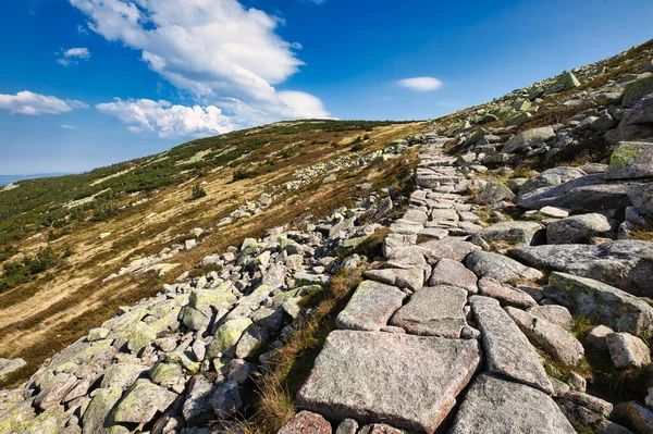 Dağlardan geçen yol taşlarla döşelidir..