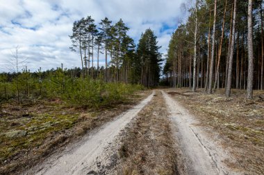 Mankenlik atölyesinde kullanılan küçük bir ahlaksızlık. İzole edilmiş arkaplan.