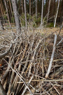 Mankenlik atölyesinde kullanılan küçük bir ahlaksızlık. İzole edilmiş arka plan.