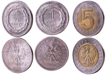 Polonya 'da kullanılan ödeme paraları yakın planda gösteriliyor. İzole edilmiş arkaplan.