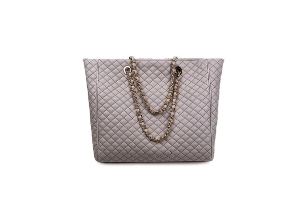 Gray female bag-2 — Stockfoto