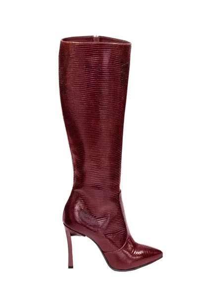 Vrouwelijke schoeisel-32 — Stockfoto