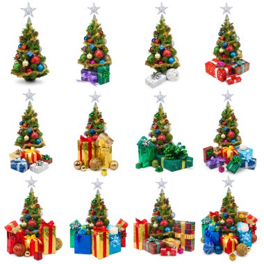 Noel ağaçları koleksiyonu