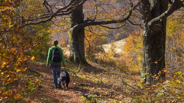 Un paseo con un amigo — Foto de Stock