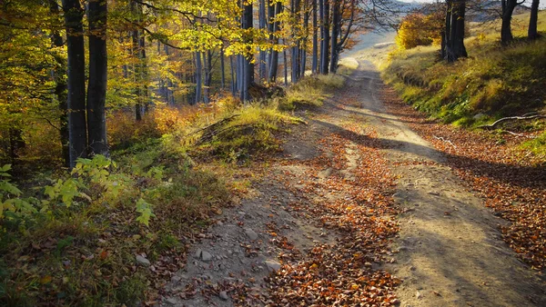 Goldene Straße — Stockfoto