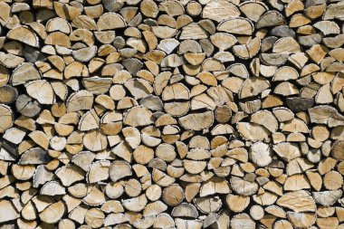 Günlük kayıtları