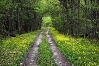 Bahar yol