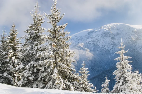 Winteridylle — Stockfoto