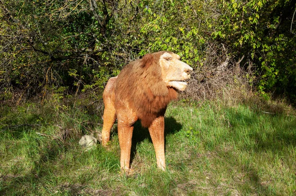 Russie Moscou Septembre 2018 Lion Préhistorique Éteint Terrible Roi Des — Photo