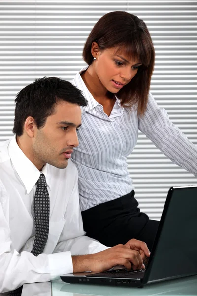 Colleagues writing an e-mail together Stock Image