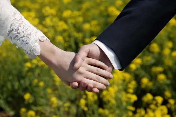 Newlyweds holding hands — Stock Photo, Image