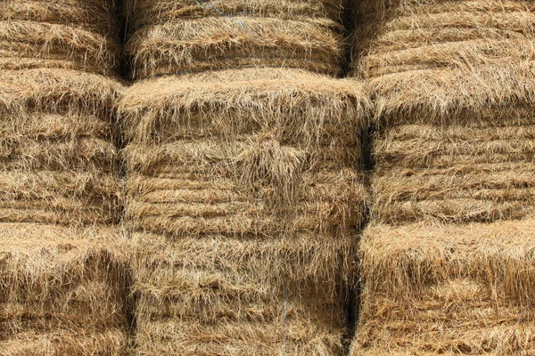 Closeup haystacks üzerinde — Stok fotoğraf