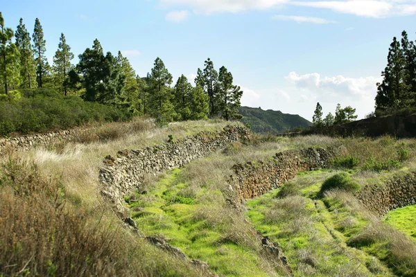 Seltsames Feld — Stockfoto