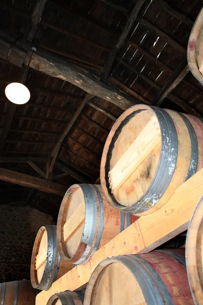 Wooden wine barrels — Stok fotoğraf